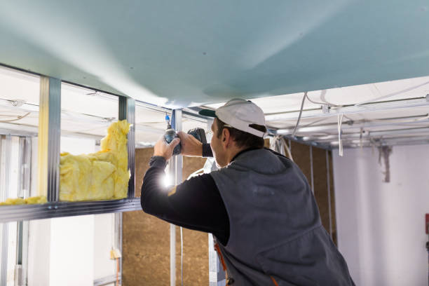 Best Residential Insulation in Andrews, SC