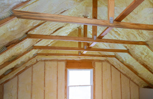 Best Insulation Maintenance and Repair in Andrews, SC